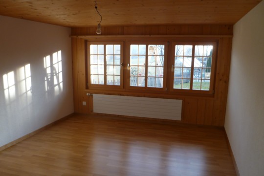 Buchi 2011 005.jpg